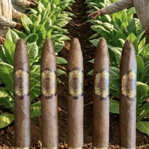 JUAN RODRIGUEZ CIGARS - HABANO TORPEDO